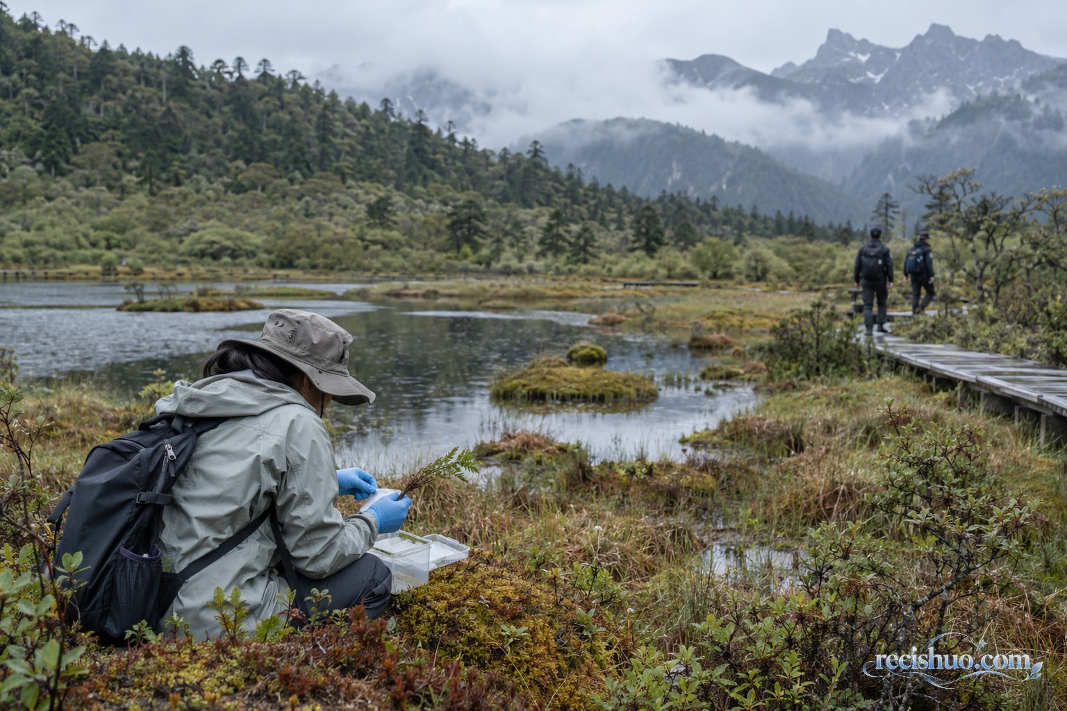 科研人员在山地湿地规范采集植物样本,远处巡护人员沿栈道巡视