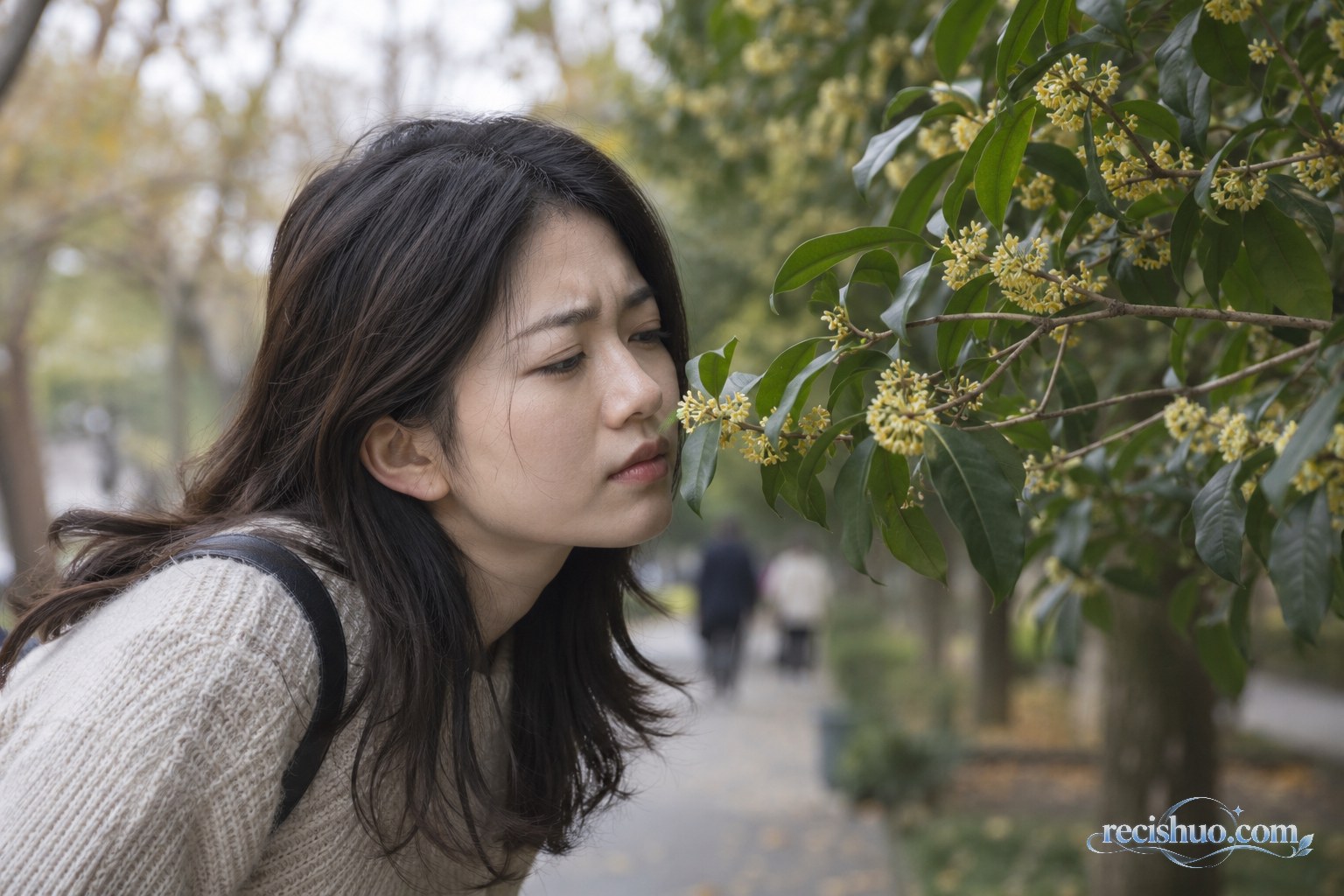 年轻人在秋日公园里靠近桂花枝条闻香