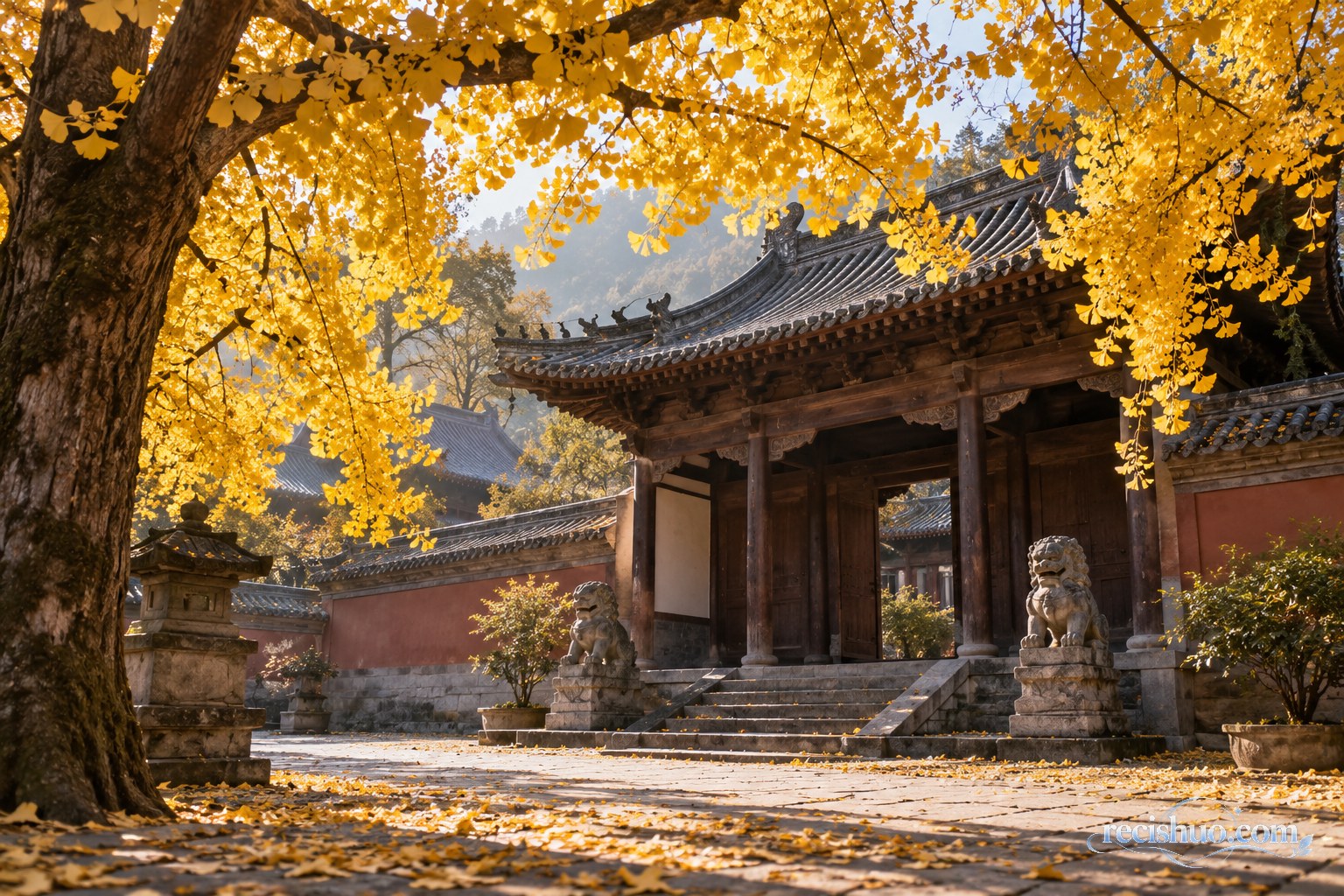 金黄银杏环抱古朴寺院屋檐与院门的深秋清晨景色