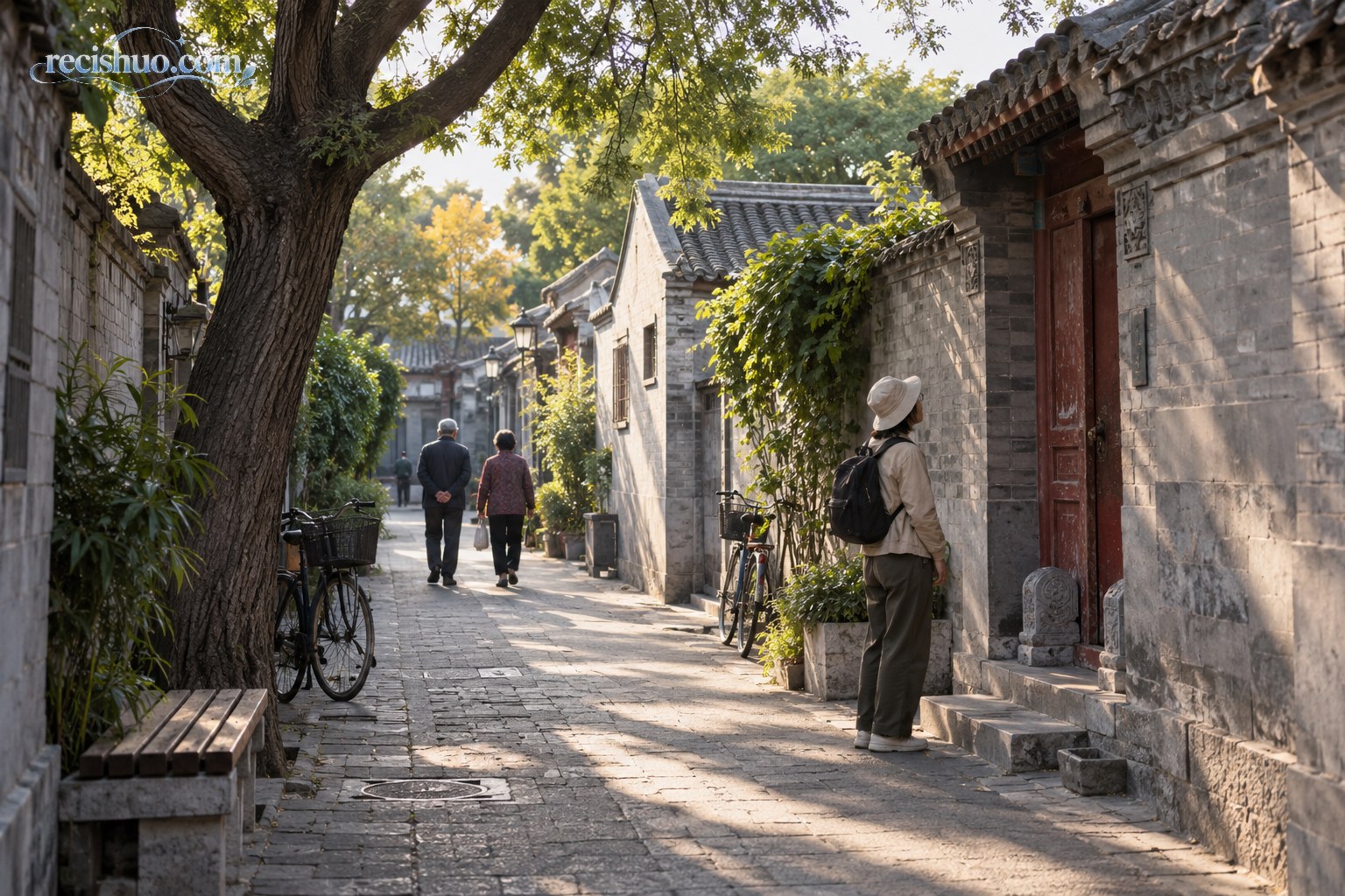 午后阳光洒进灰砖胡同,居民与游客在院门和树影间缓步而行