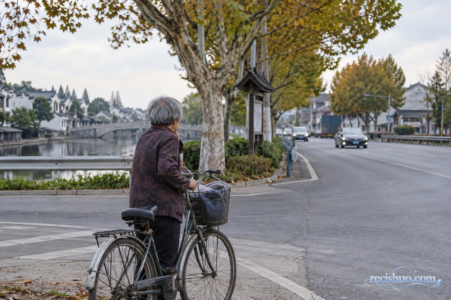 秋日江南道路旁,一位老人推着自行车观察周边方向
