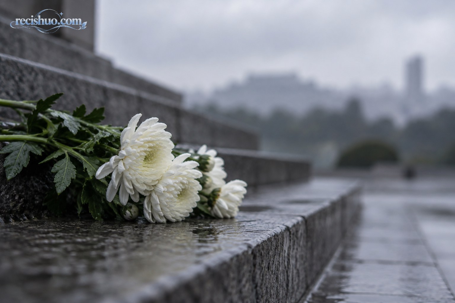 雨中石阶旁摆放白菊、象征铭记历史与珍视和平的肃穆场景