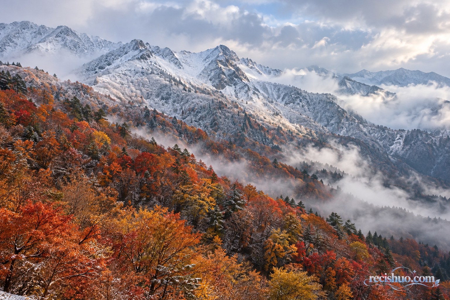 秦岭山腰红橙色秋林与高处覆雪山岭在云雾中交汇